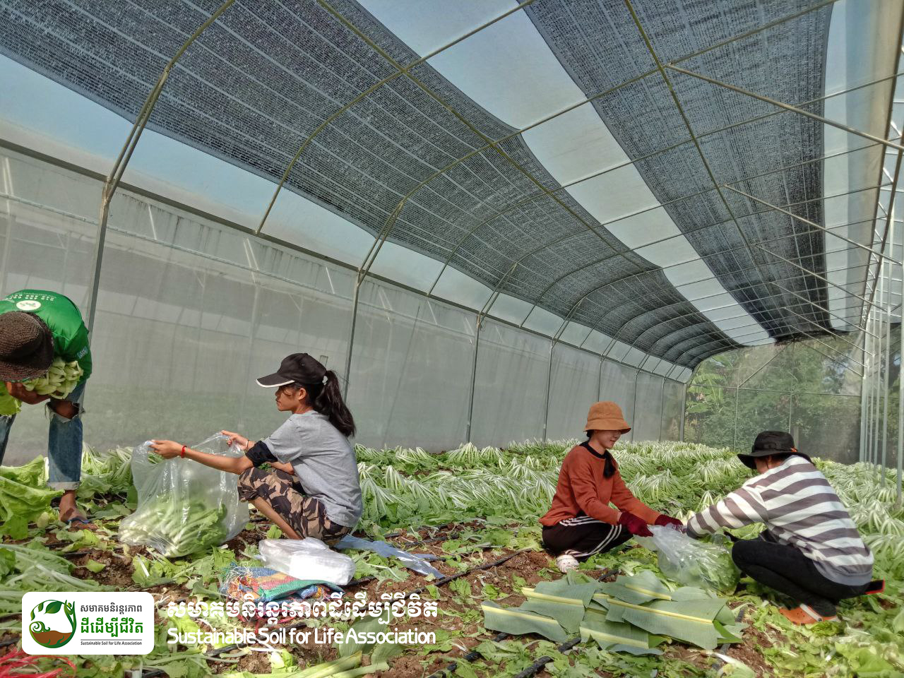 340135423_181330194766322_6776595555383123961_n