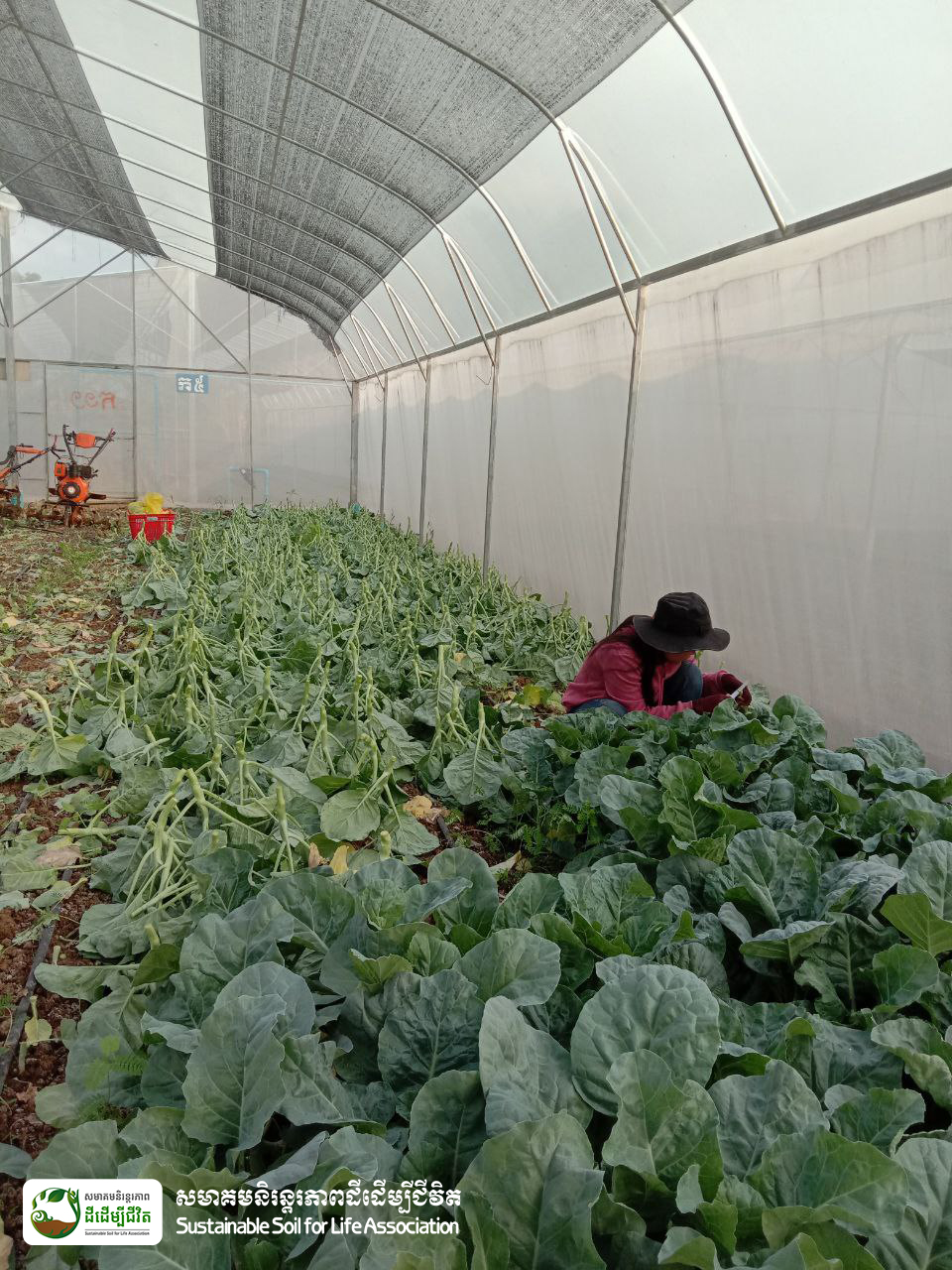 340653573_796802461793069_9035202364518010703_n