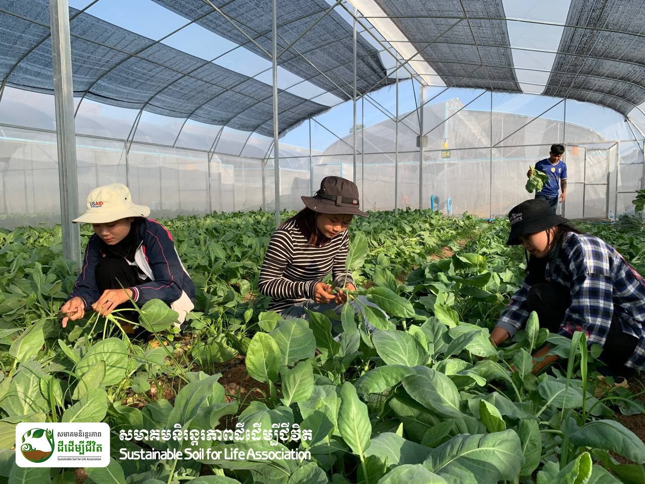 340753677_771515674590920_2841805529303618240_n