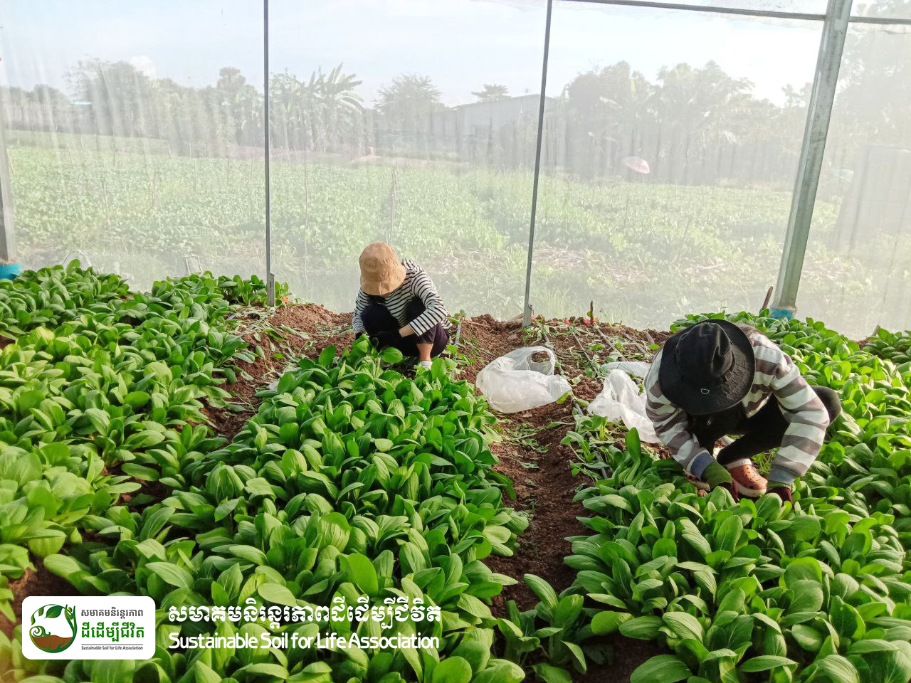 340848467_2812979662172671_758513212989147368_n