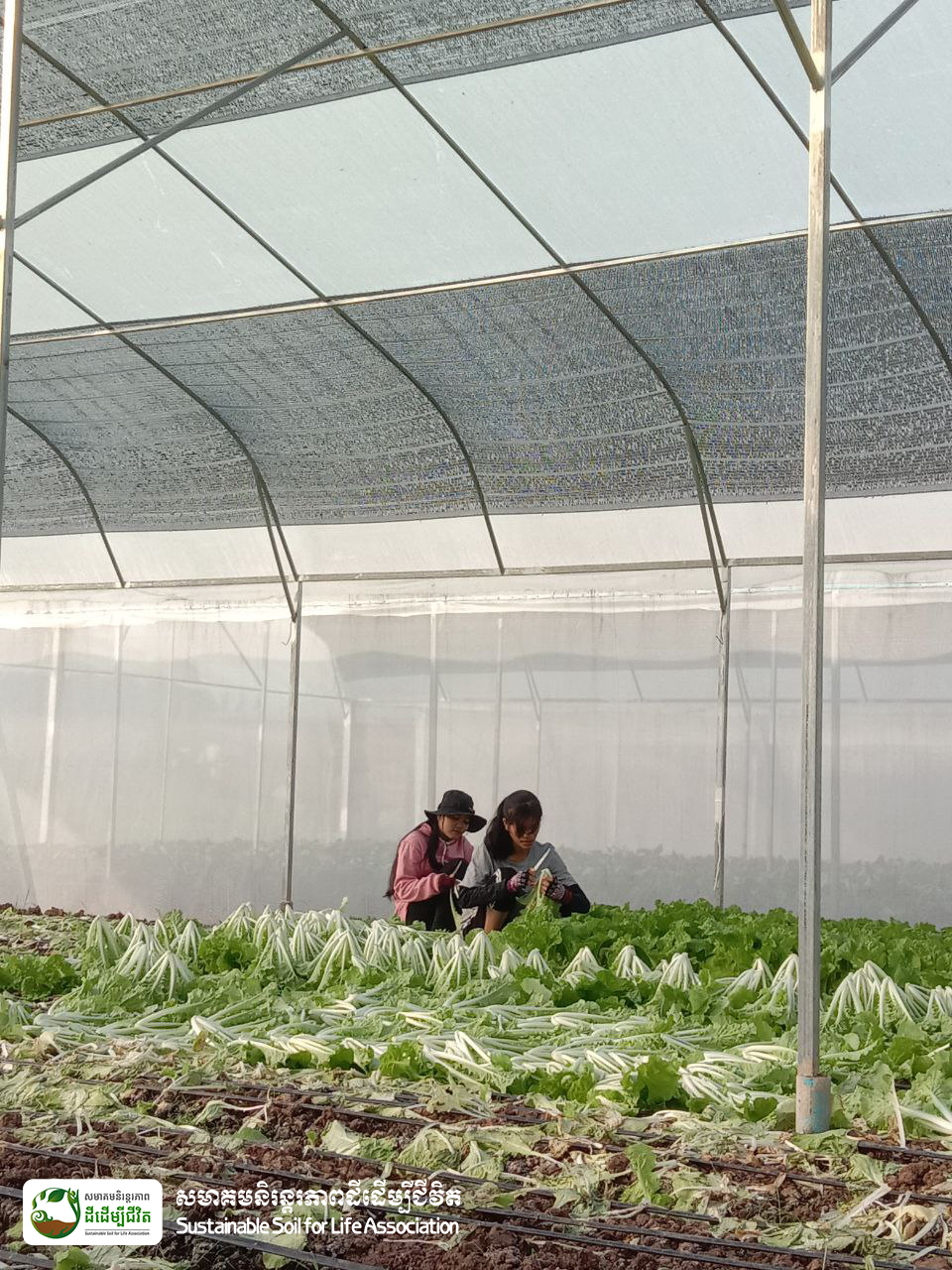 341007888_611867127661049_7196403339554884125_n