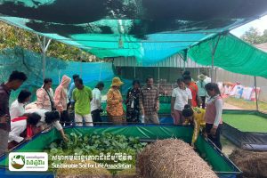 SSLA organized Agricultural Study Tours for Farmers From Preah Vihear Province.