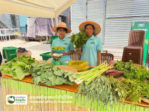 Battambang Farmers’ Market Officially Launched on the Morning of August 25, 2024.